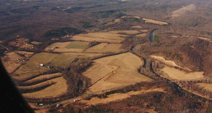 Forks of Capon #2