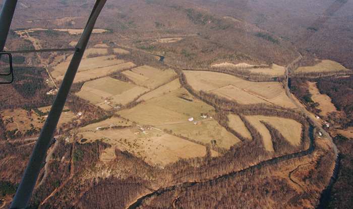 Forks of Capon #2