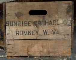 Sunshine Orchard, Romney