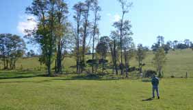 approaching the cememtery from the driveway