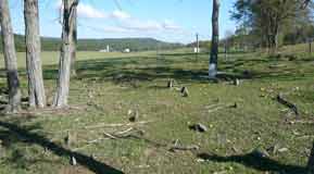 view from the cemetery north to the county road