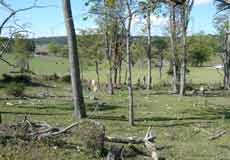 view of cemetery