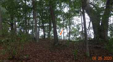 Loy Cemetery above the road in August, 2020