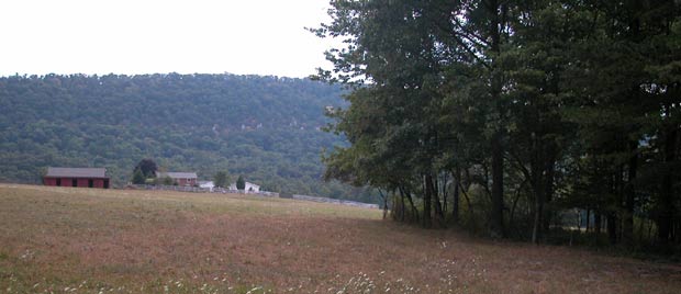 view toward house (west)