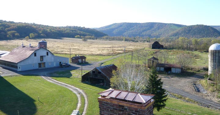 view from roof cupula