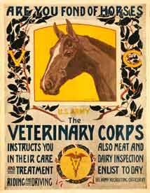 Veterinary Corp